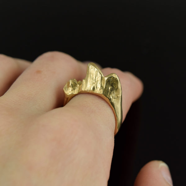 Canine Tooth Ring ~ Bronze