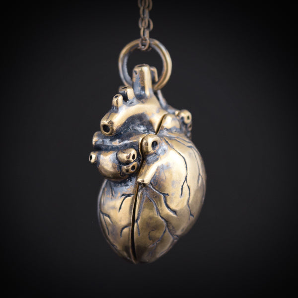 Anatomical Heart Locket ~ Bronze