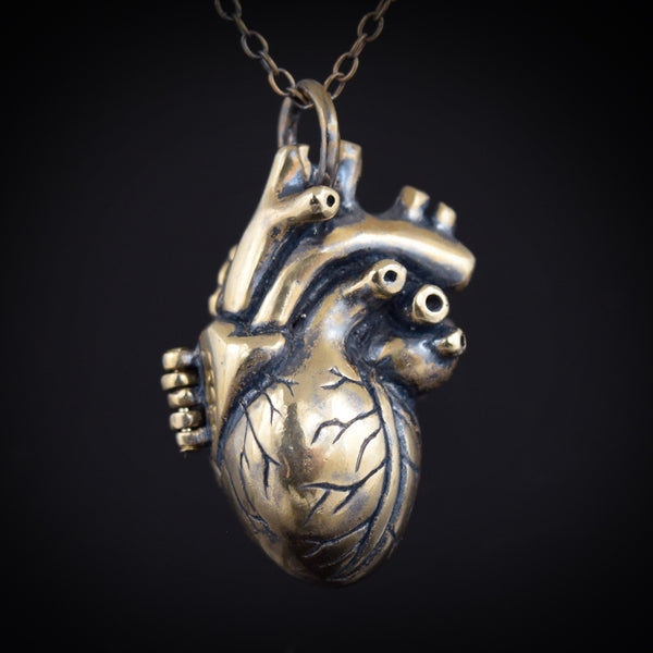 Anatomical Heart Locket ~ Bronze
