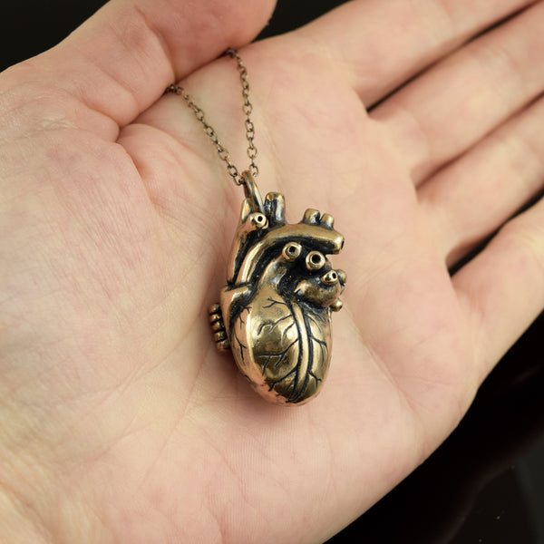 Anatomical Heart Locket ~ Bronze