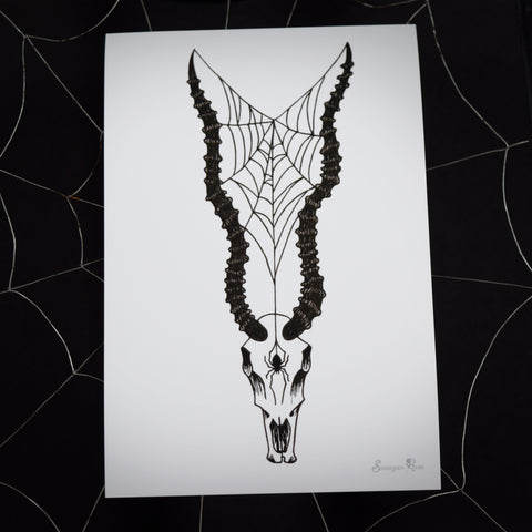 Impala Skull ~ 6x4 Giclee Print