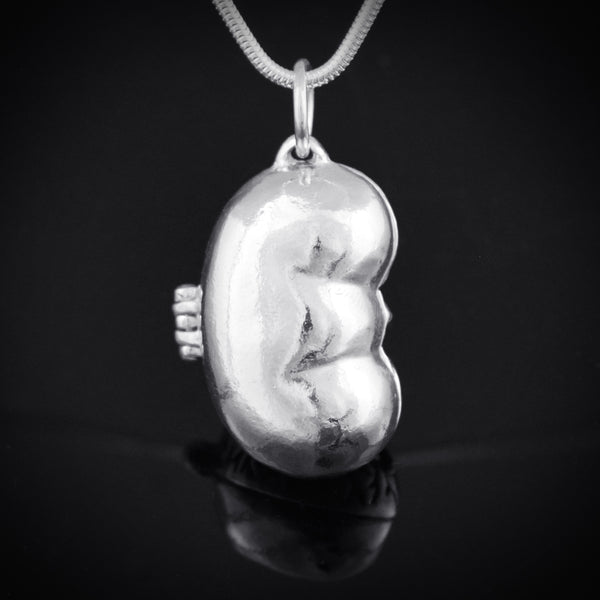 Kidney Locket