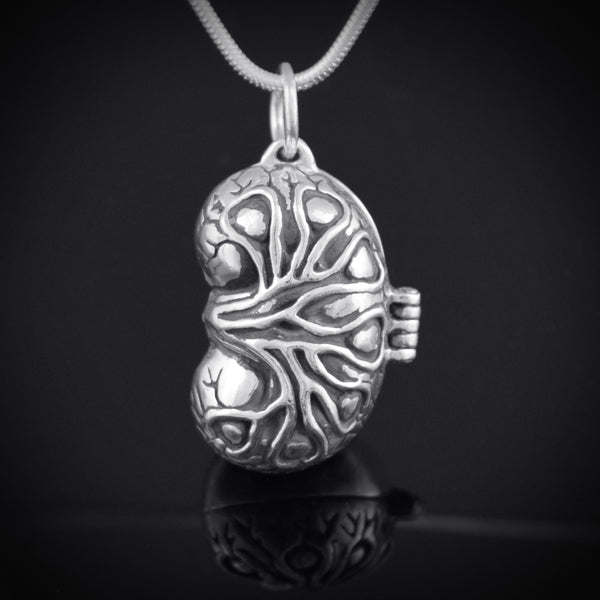 Kidney Locket