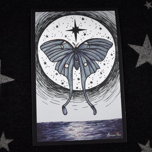Luna Moth ~ 6x4 Giclee Print