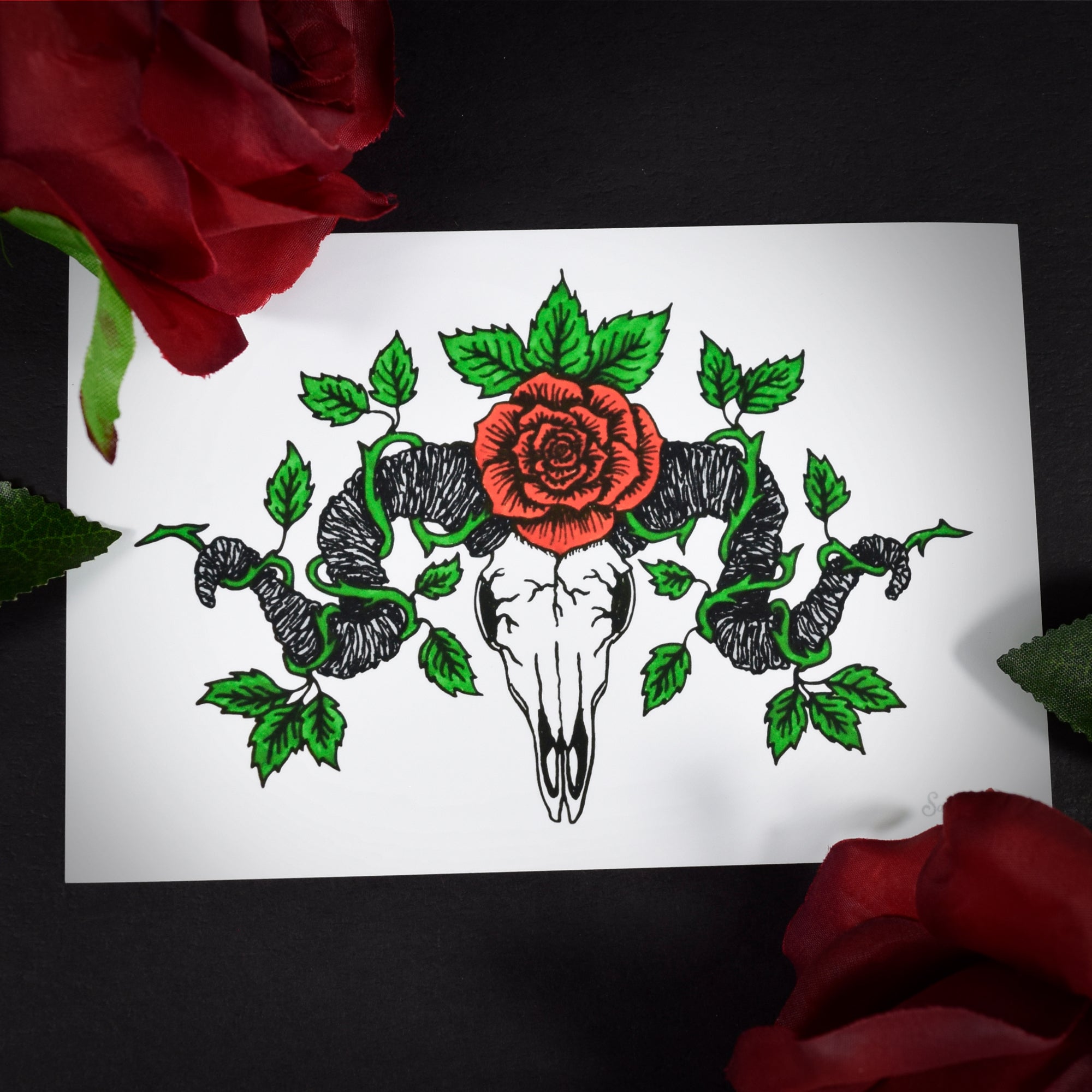 Ram Skull Rose ~ 6x4 Giclee Print