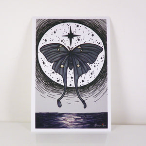 Luna Moth ~ 6x4 Giclee Print