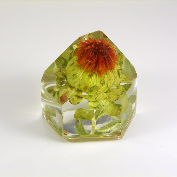 Safflower Resin Crystal