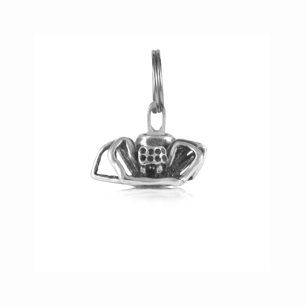Spider Charm