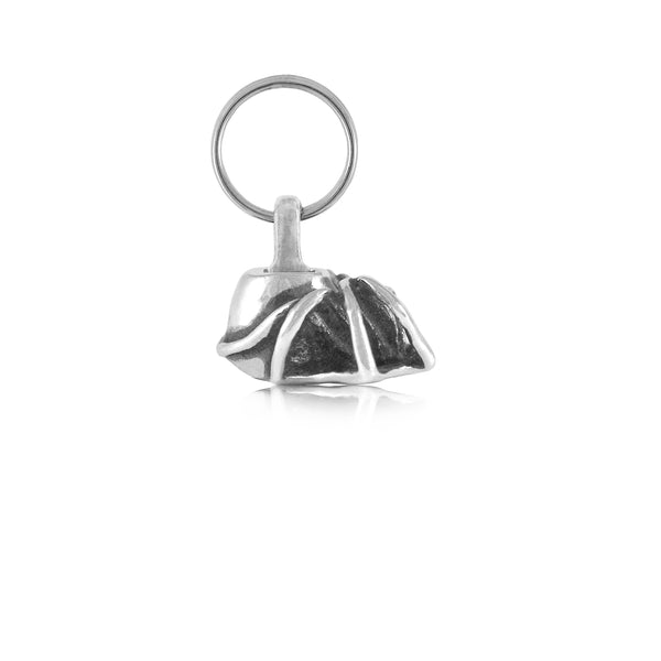 Spider Charm